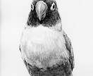 ペットの似顔絵を手描き原画で制作します お写真をもとに、ハガキサイズのペット肖像画を制作いたします。 イメージ9