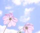愚痴、雑談なんでも聞きます 子育てで悩んでる事や困っている事、誰かとお話したい人！ イメージ1