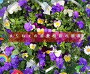 不倫や浮気の事で悩んで居る方相談に乗ります まりねぇの恋愛相談100％カウンセリング イメージ1