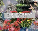 どんなお話もあなたの気が済むまでお聞きします 愚痴や恋愛なんでもお話ください♡ イメージ1