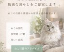 猫の個性に合う快適な暮らし提案します 猫の行動と環境から原因を読み解きます イメージ1