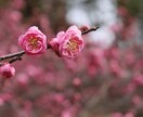 お相手との相性占います 【強力霊視・タロット】で鑑定し、より良い関係に導きます。 イメージ9