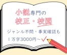 打倒、凡ミス！同人小説・創作小説を校正・校閲します 事実確認も。校正士の精読で、誤字脱字を減らし完成度を高めます イメージ1