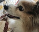 1分からでもOK！貴方からのお電話待ってます 大学生の僕がなんでもお話し聞きます。 イメージ2