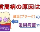 介護分野の研修資料を分かりやすく・見やすく整えます 既存資料をもとに、見やすさ・伝わりやすさを重視して整えます。 イメージ6