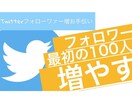 Twitterフォロワァー100増やします 今やSNS最強時代！インフルエンサーの第一歩を！ イメージ1