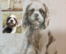 手描きです！大切なペットの似顔絵描きます 優しいタッチのイラストを水彩や色鉛筆を使ってリアルに描きます イメージ1