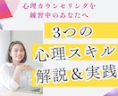 心理カウンセリングスキルの実践方法を教えます どんな流れ・状況で、どんな感じで心理スキルを使うかを即習得！ イメージ1