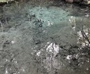 あなたの適職、才能、タロットや算命学で占います 人生迷子の方、本当の自分を見つけてみませんか？ イメージ7