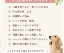 愛犬・愛猫のお悩み相談お聞きします 一人で悩まず、お気軽にご相談ください イメージ2
