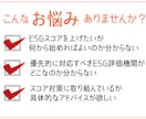 ESG評価機関のスコアを上げる方法を教えます 現役サステナビリティ担当者が具体的なアドバイスを提供します イメージ2