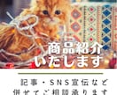 配信にて商品紹介いたします 商品の魅力を忖度なしにお伝え/noteや各SNSでの宣伝も！ イメージ1