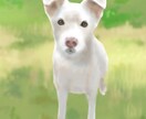似顔絵、風景画、ペット絵などを描きます お気に入りの写真を絵にしてみませんか？ イメージ8