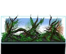 あなたの理想の水槽、カタチにします はじめてでも安心。デザインから設備まで、まるごとサポート イメージ5