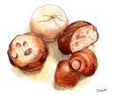 美味しいが伝わる食べ物イラストを描きます 挿絵やメニュー表にピッタリのイラストを描きます！ イメージ4