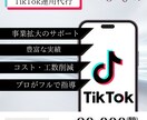 TikoTokコンサルをします 結果にこだわるTikTok運用代行 イメージ1