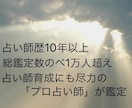 経営者向け上級鑑定。事業・ビジネスを成功へ導きます ビジネス成功強力遠隔ヒーリング付き。未来への不安を抹消します イメージ2