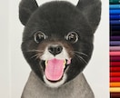 ペットの絵描きます 〜 色鉛筆で描くわんちゃん、ねこちゃんの似顔絵 〜 イメージ2
