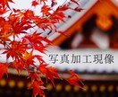 撮影した写真美しく加工・編集・現像します 撮った写真が暗くてパッとしない...そんな写真、蘇させます。 イメージ1