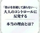 ADHDの反抗と誤解される脳の特性と対策を教えます 指示を拒絶するADHDの子に。家庭でできる環境調整法 イメージ4