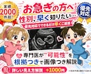 お急ぎの方！納期指定で性別予測、エコー解説をします 性別予測、エコー解説について納品日ご指定のある方はこちら！ イメージ1