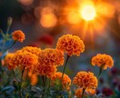 話すだけで楽になる、そんな時間を届けます 愚痴は最大の心のデトックス！出さないと溜まる、脂肪と一緒！ イメージ3