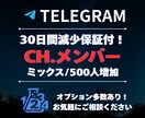 Telegram500人増加サポートします 30日間自動補充！短時間でチャンネル・グループの印象UP！ イメージ1