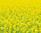 あなたの気持ちを大切に♡お話し相手になります ☆恋愛/不倫/仕事/愚痴/毒親/話し相手/不安な気持ち☆ イメージ3