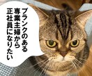 ブランクのある主婦から正社員になるお手伝いします ブランク主婦から正社員へ！夢を叶えるキャリアプラン作成 イメージ1