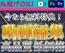 気持ち伝わるカット編集・字幕作成、承ります YouTube・SNS向け動画編集、数名で丁寧に承ります。 イメージ1