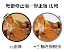 小規模飲食店向け料理写真の視認性補正します 短時間で状態が変化する料理写真の補正に対応（単枚） イメージ3