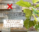 オラクルカード✨幸せに導くメッセージをお届けします 5分～OK♪ゆる～く雑談しながら気分転換しませんか？ イメージ2