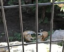 元刑務官が教える面白いエピソード教えます 元刑務官がYouTubeのネタになる面白いエピソード教えます イメージ1