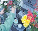 八柱霊園、お墓参り、清掃の代行を行います まごころこめて、お墓参り、清掃いたします。 イメージ1