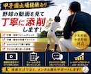甲子園出場経験を活かし丁寧に動画添削します 親御さんからの相談も大歓迎です。一人ひとりに合わせて指導。 イメージ1