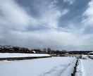 元小学校教員がお話を丁寧にお聴きします 愚痴、話し相手、恋愛相談、お悩み相談、心の悩み、対人関係など イメージ4