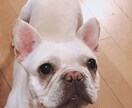 色々なお話伺います 中に溜まっている吐き出してスッキリしましょう! イメージ2