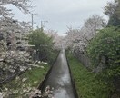 ピアノ練習のお悩み相談承ります 子供から大人、独学者のピアノ練習を応援します！ イメージ1