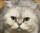 あなたの話し相手をさせていただきます ☆女性限定☆内容はなんでもかまいません。話し相手にどうぞ イメージ1