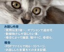 動物質問伝言コース♥動植物さんに伝えます ～質問伝言・お返事受け取り・動植物さんを尊重～ イメージ2