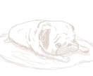 愛犬、ペットのイラスト描きます ペットが大好きな方におすすめです イメージ1