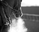 1ヶ月分の【中央競馬の買い目・高配当予想】します 毎週土日中央競馬の買い目をお届けします！！ イメージ2