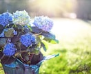 LGBTQの話にお応えします 恋愛観や性別の違和感、身内の打ち明け話からのお悩み何でもOK イメージ6