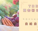 YouTube女性的なサムネ画像作ります 見にくいサムネはもう終わり！シンプルに見やすいサムネに☆ イメージ6