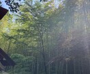 あなたのお悩み、前向きにリーディングします 元スイミングスクールコーチがあなたに寄り添い前向き鑑定♪ イメージ5