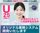 オリジナル業務システム開発・運用します 25人以下の中小企業専用システム開発！ちょうどいいDX化。 イメージ1