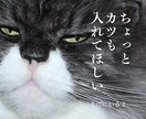 そばにいるよ♡ 話したいに 寄添います 心のホコリやチリを吐き出すことを日常に♡ イメージ10