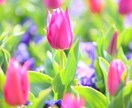 ちょっとだけ話したい方お待ちしております 何となく誰かに話を聞いて欲しいときご利用ください。 イメージ1