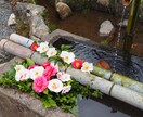 桜、紅葉など京都の動画、写真、レポート代行します 京都の気になるお店、場所確認代行　まずはなんでもご相談 イメージ3