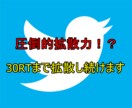 拡散力抜群なアカウントで30RTまで拡散します 圧倒的拡散で集客！　最低50万人に拡散！ イメージ1